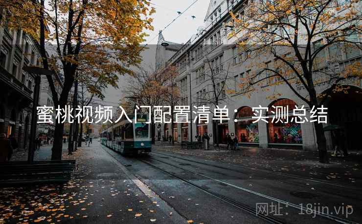 蜜桃视频入门配置清单：实测总结