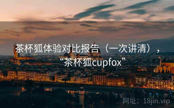 茶杯狐体验对比报告(一次讲清),“茶杯狐cupfox”